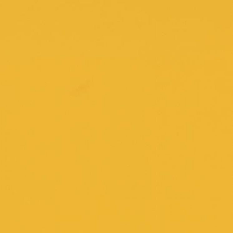 Sarlon Uni Amarillo