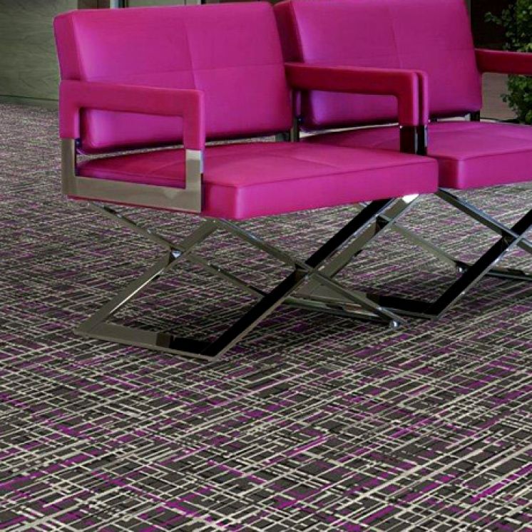 SIGNATURE COLLECTION