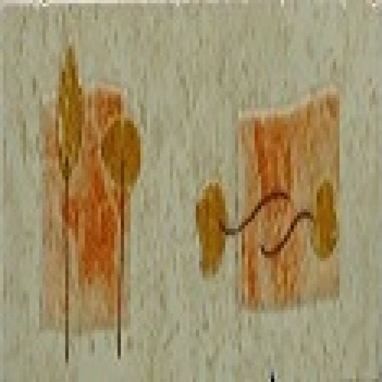 Cenefa Ceramica 2133