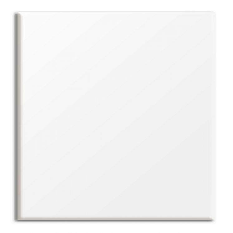 Blanco Brillante New 20x30cm